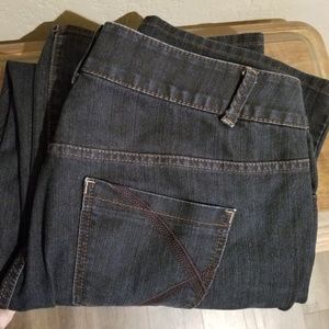 Lane Bryant Boot Cut w/ Tighter Tummy Technology